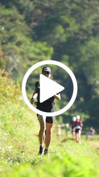 BIB:  <button type="button" onclick="openModal(26573871)" class="btn btn-primary btn-sm float-right" data-toggle="modal" data-target=".modal-high-quality">
                <i class="fa fa-download"></i> Download
                </button>